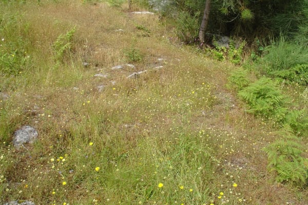 Foto 44 da atividade Galeria de Fotos