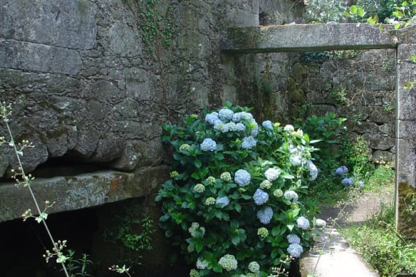 Foto 39 da atividade Galeria de Fotos