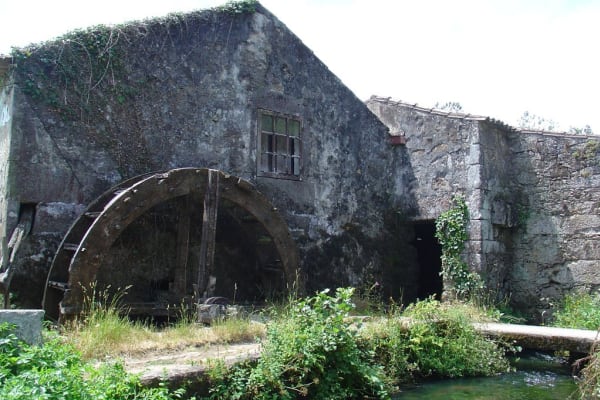 Foto 25 da atividade Galeria de Fotos