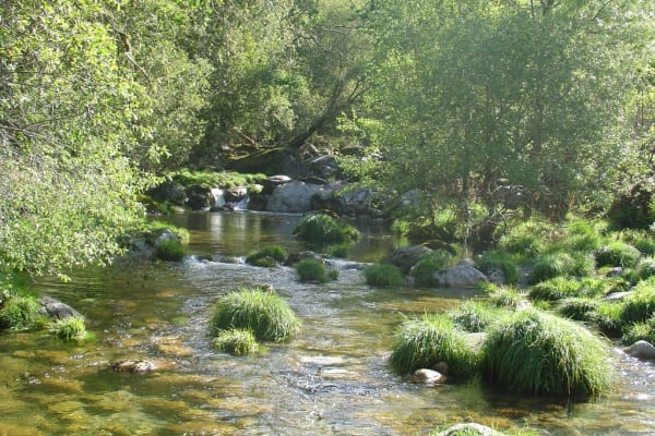 Foto 130 da atividade Galeria de Fotos