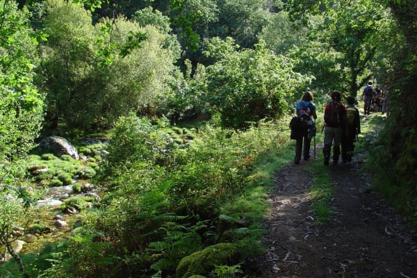 Foto 117 da atividade Galeria de Fotos