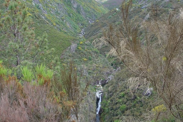 Foto 114 da atividade Galeria de Fotos