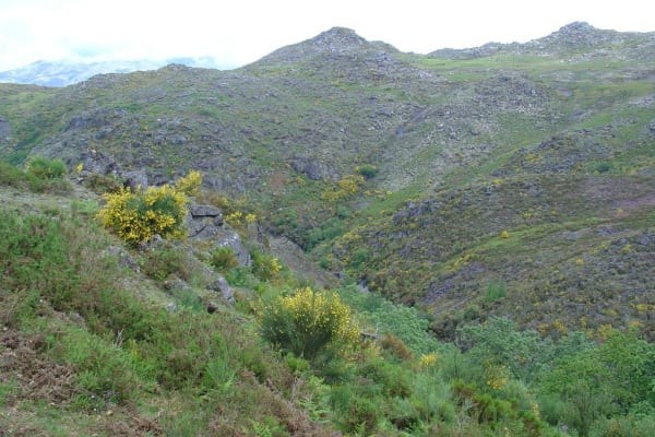 Foto 107 da atividade Galeria de Fotos