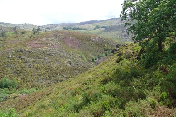 Foto 98 da atividade Galeria de Fotos