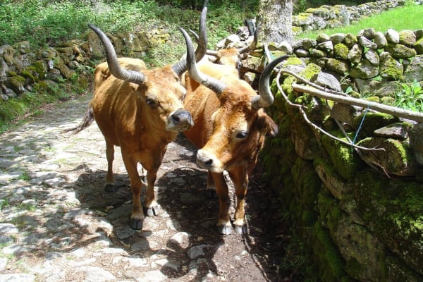 Foto 91 da atividade Galeria de Fotos