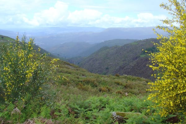 Foto 87 da atividade Galeria de Fotos