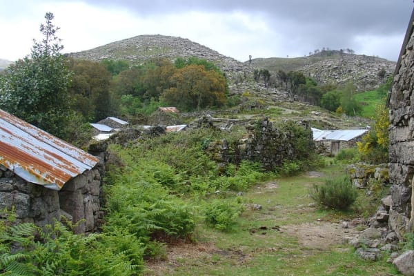 Foto 85 da atividade Galeria de Fotos