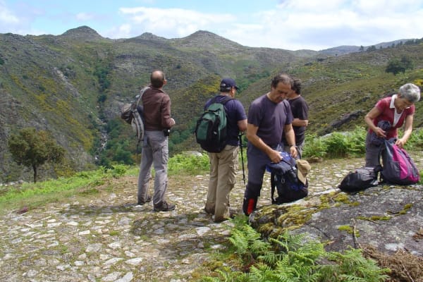 Foto 80 da atividade Galeria de Fotos