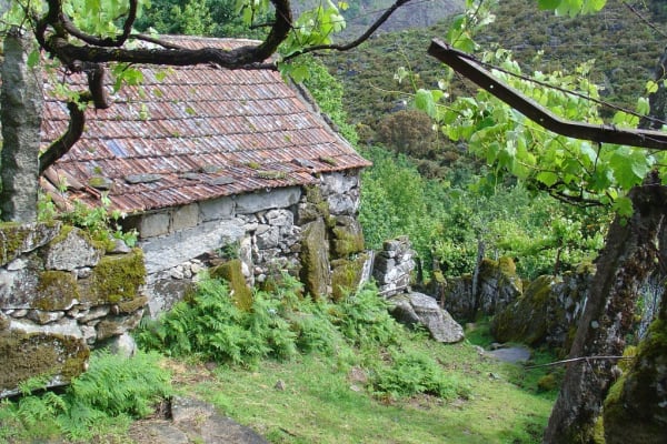 Foto 68 da atividade Galeria de Fotos