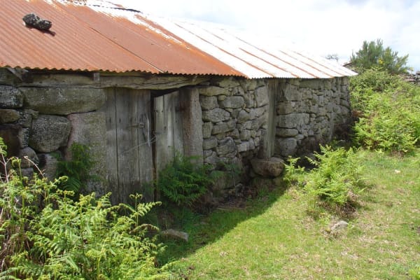 Foto 45 da atividade Galeria de Fotos