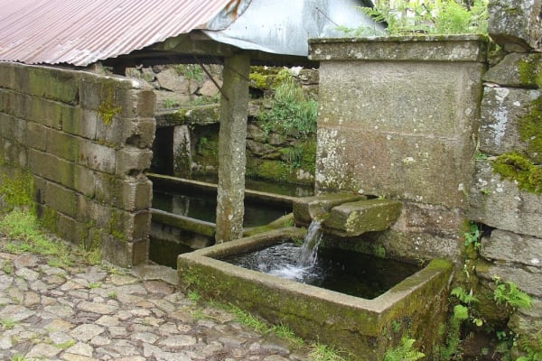 Foto 42 da atividade Galeria de Fotos