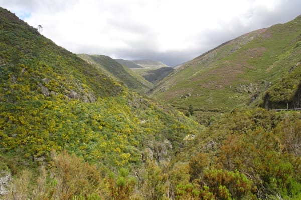 Foto 38 da atividade Galeria de Fotos