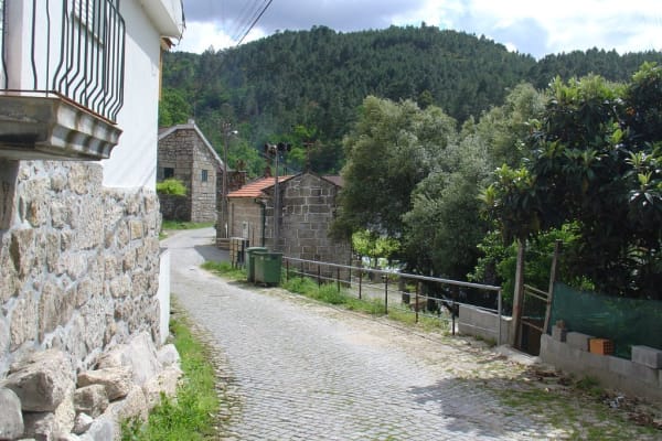 Foto 22 da atividade Galeria de Fotos