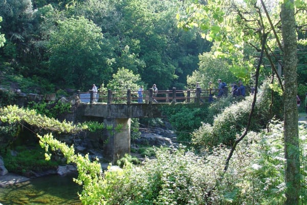 Foto 11 da atividade Galeria de Fotos