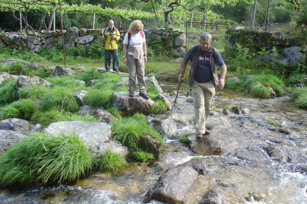 Foto 12 da atividade Galeria de Fotos