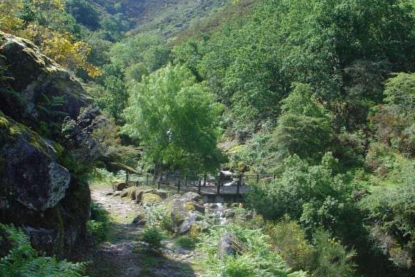 Foto 3 da atividade Galeria de Fotos