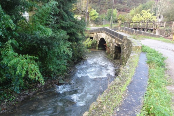 Foto 48 da atividade Galeria de Fotos