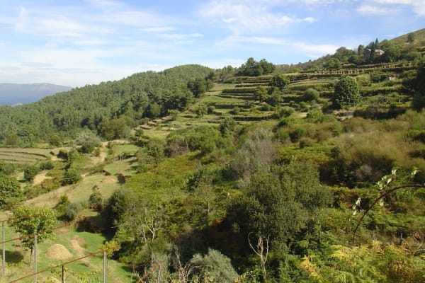 Foto 99 da atividade Galeria de Fotos