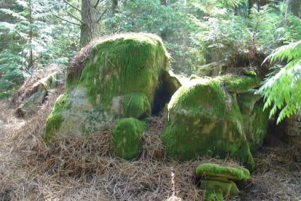 Foto 89 da atividade Galeria de Fotos