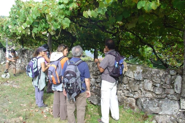 Foto 90 da atividade Galeria de Fotos