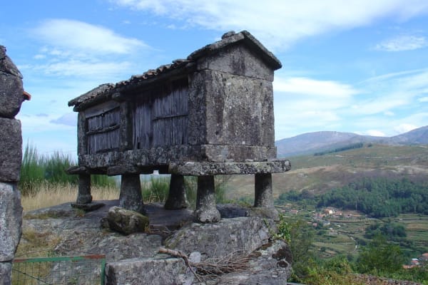 Foto 86 da atividade Galeria de Fotos