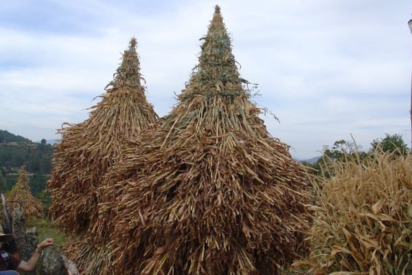 Foto 72 da atividade Galeria de Fotos