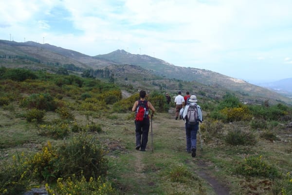 Foto 48 da atividade Galeria de Fotos