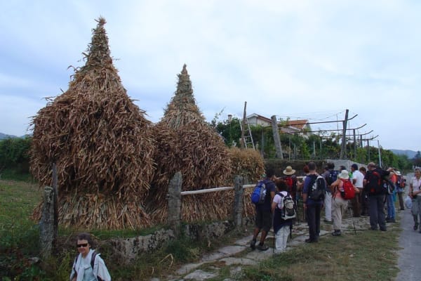 Foto 44 da atividade Galeria de Fotos