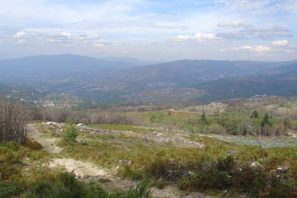 Foto 39 da atividade Galeria de Fotos