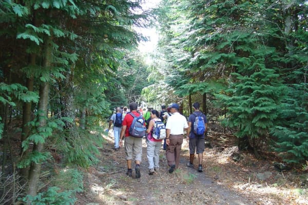 Foto 33 da atividade Galeria de Fotos