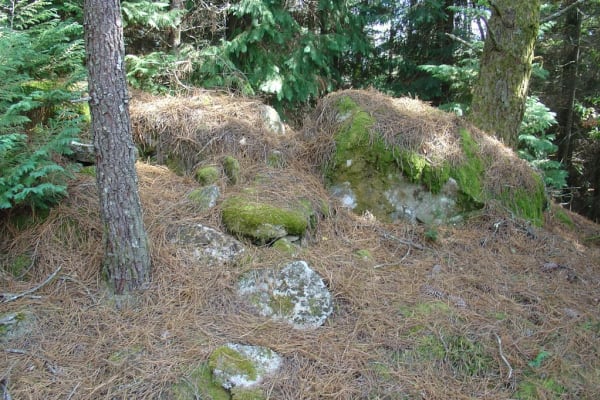 Foto 23 da atividade Galeria de Fotos