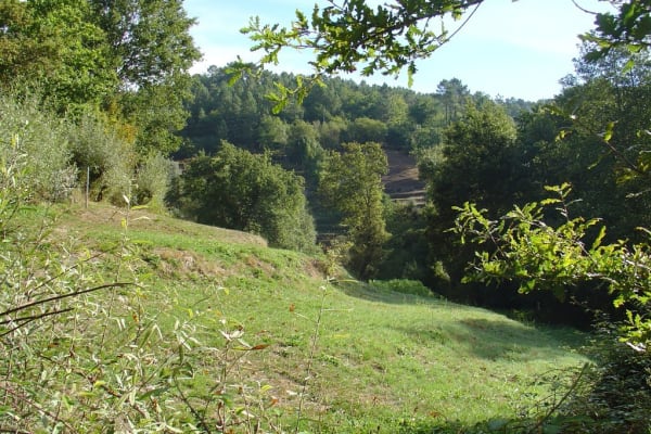 Foto 18 da atividade Galeria de Fotos