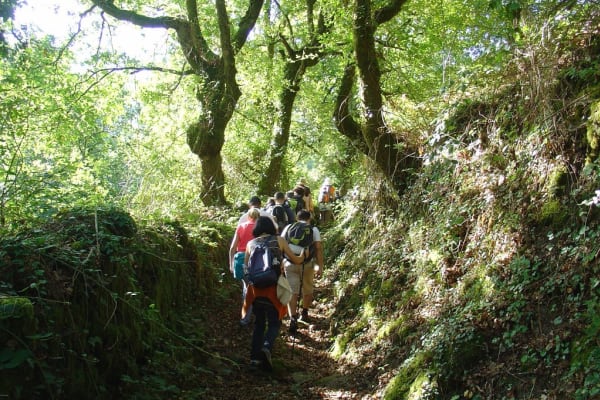 Foto 19 da atividade Galeria de Fotos