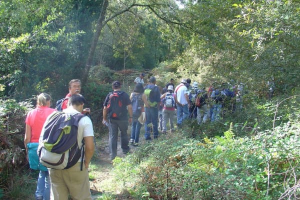 Foto 15 da atividade Galeria de Fotos