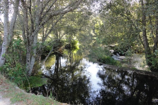 Foto 97 da atividade Galeria de Fotos