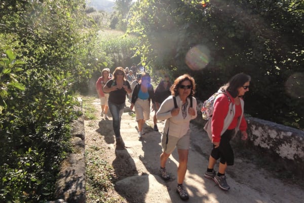 Foto 84 da atividade Galeria de Fotos