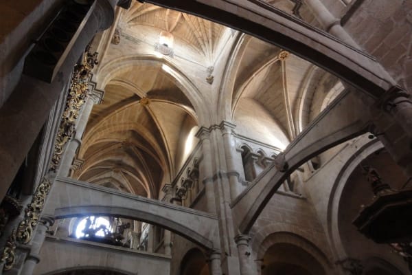 Foto 25 da atividade Galeria de Fotos