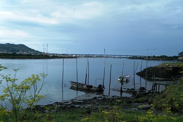 Foto 134 da atividade Galeria de Fotos