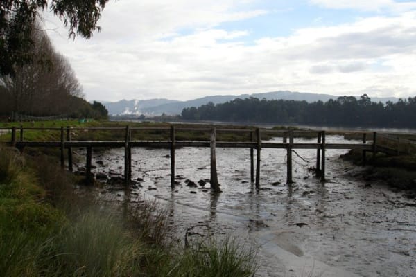 Foto 131 da atividade Galeria de Fotos