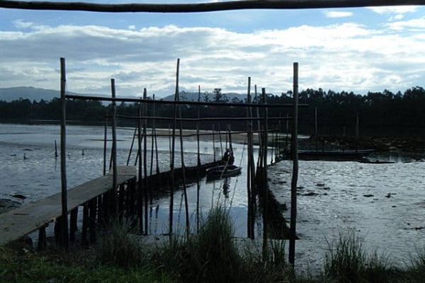 Foto 120 da atividade Galeria de Fotos