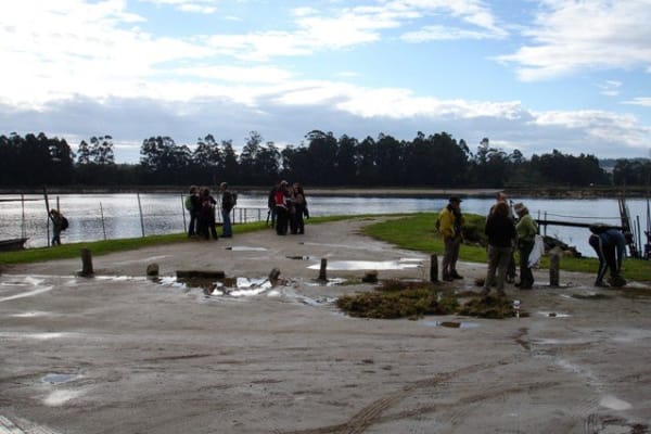 Foto 121 da atividade Galeria de Fotos