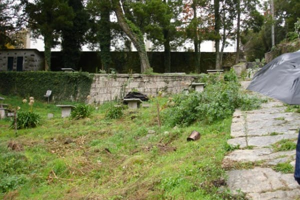 Foto 113 da atividade Galeria de Fotos