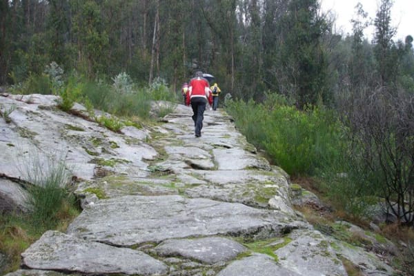 Foto 82 da atividade Galeria de Fotos