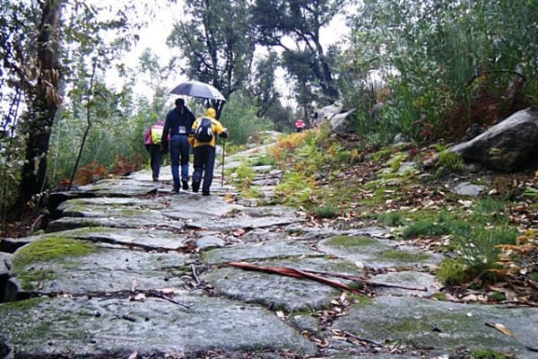 Foto 55 da atividade Galeria de Fotos