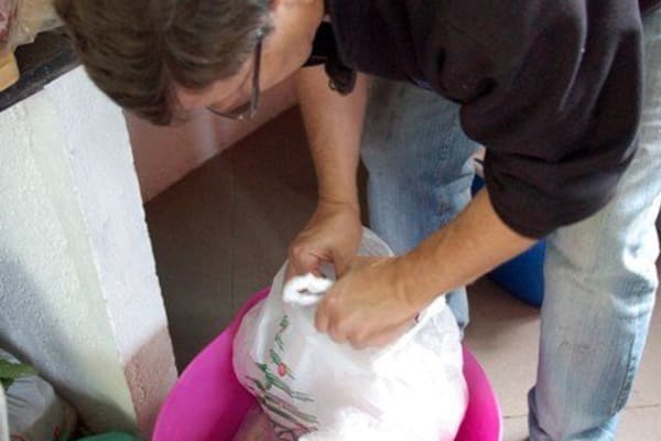 Foto 45 da atividade Galeria de Fotos