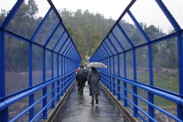 Foto 42 da atividade Galeria de Fotos