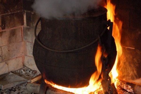 Foto 40 da atividade Galeria de Fotos