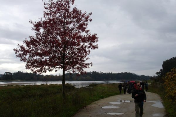 Foto 3 da atividade Galeria de Fotos