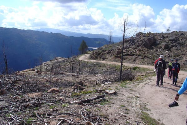 Foto 132 da atividade Galeria de Fotos