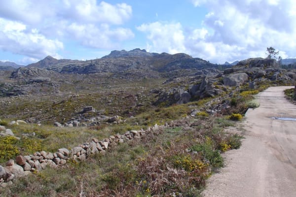 Foto 126 da atividade Galeria de Fotos